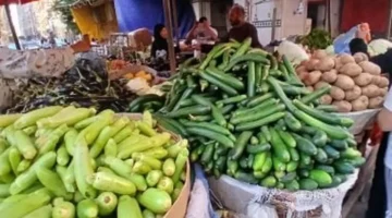 تراجع ملحوظ بأسعار الفواكه والخضراوات في المنوفية اليوم